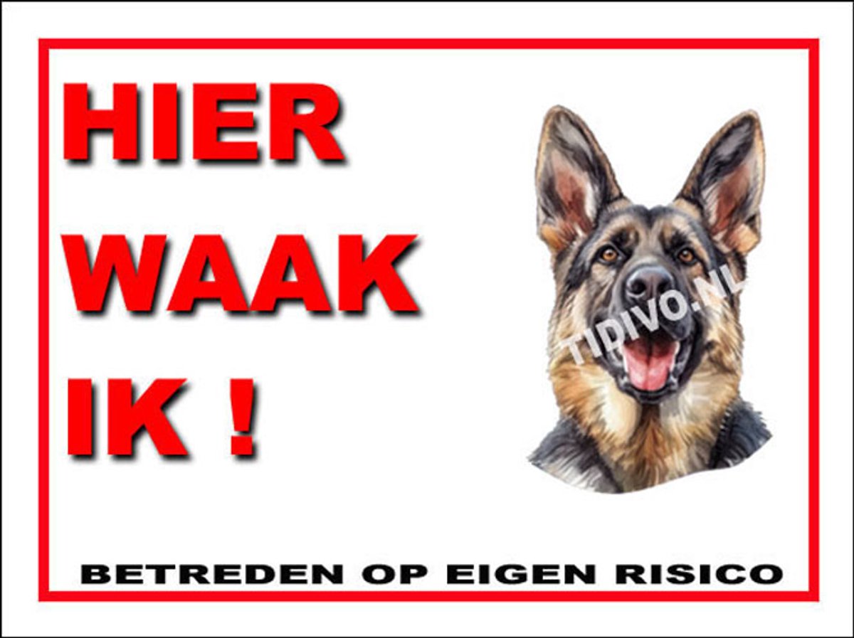 King Shepherd 3