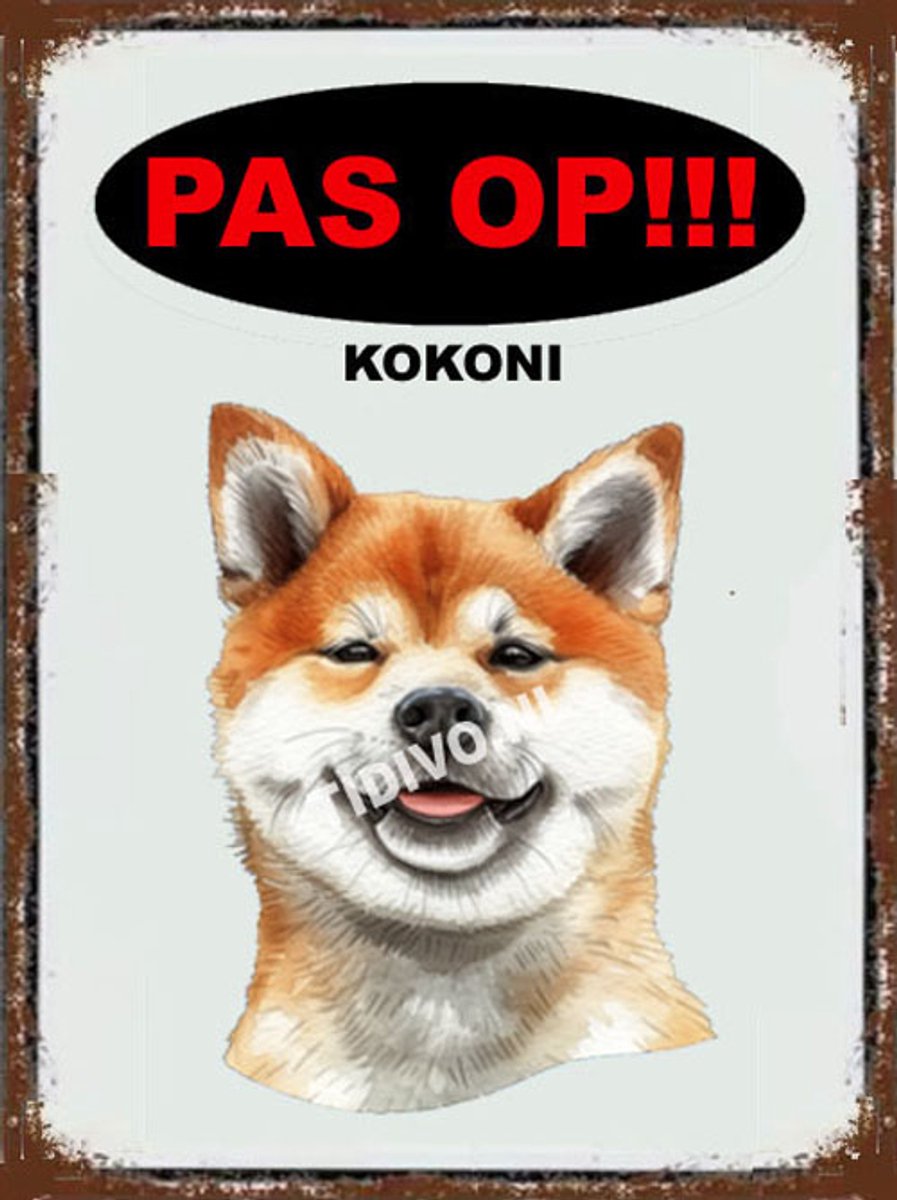 Kokoni 17