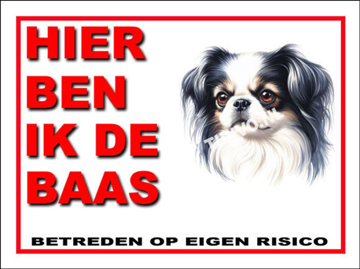Japanse Spaniel 2