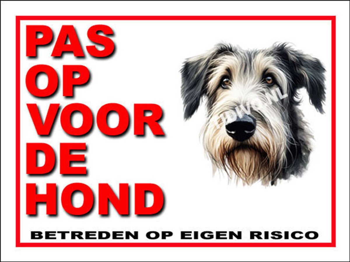 Ierse Wolfshond 13