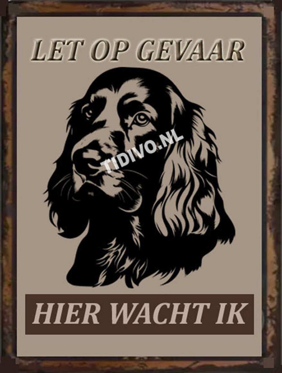 Gordon Setter 18