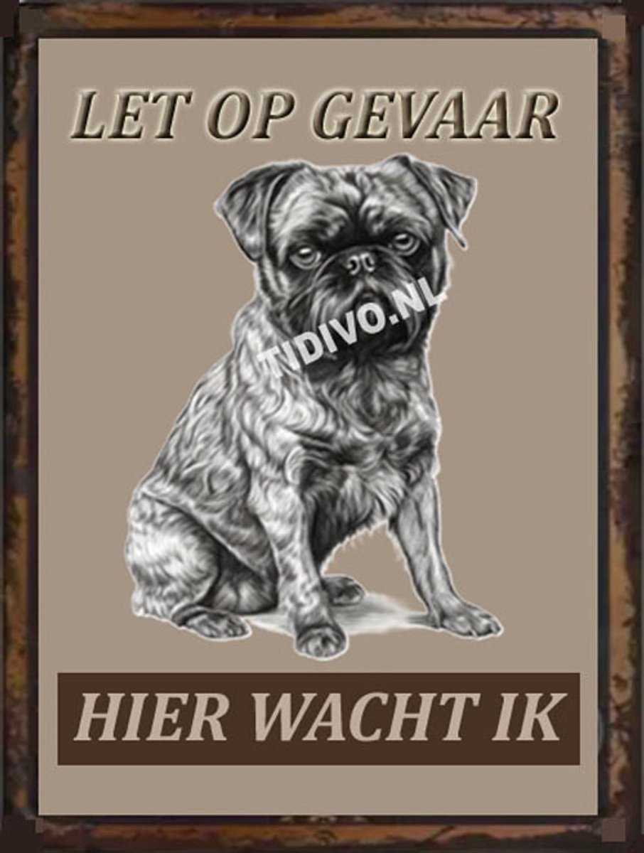 Griffon Brusselse 18