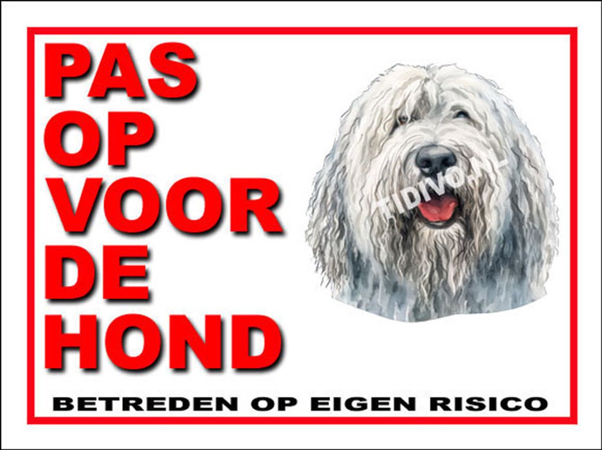 Komondor 13