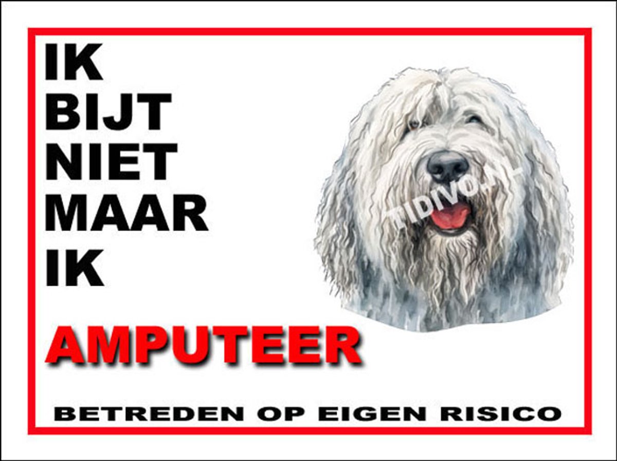 Komondor 5