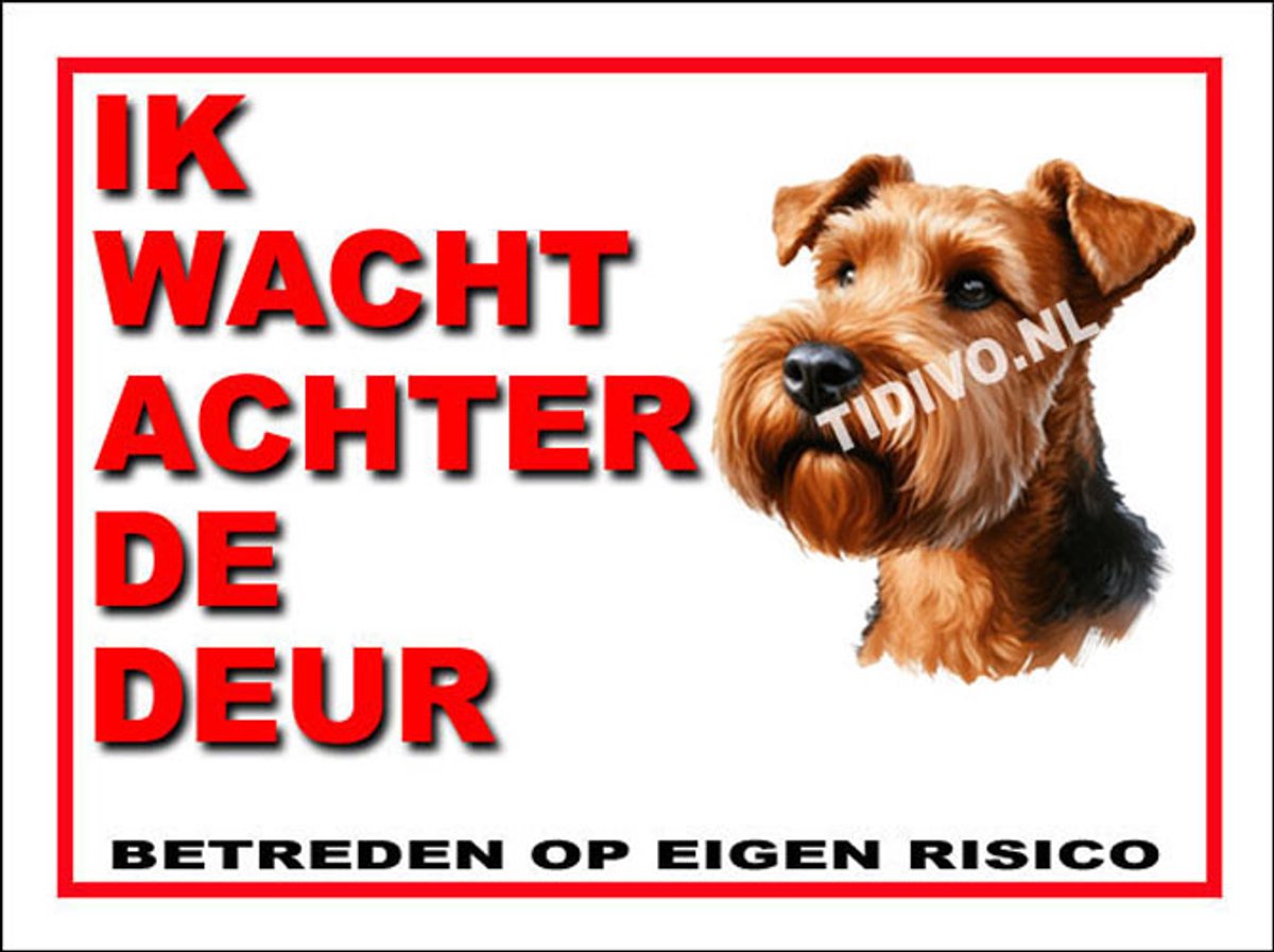 Ierse Terrier 10