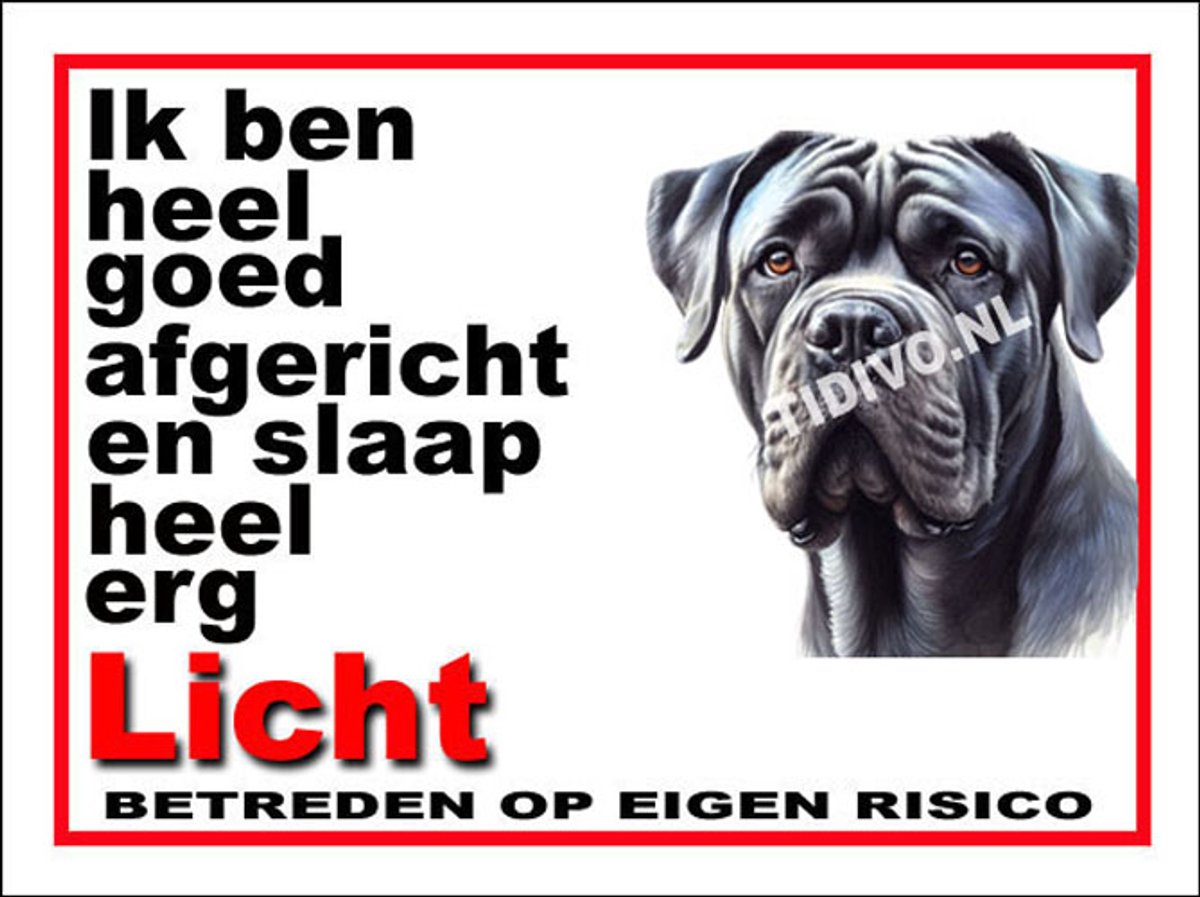 Cane Corso 4