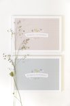 Twee 'Mijn Schoolfotoboek' albums op een rij. Eén mintgroen en één lichtroze, beide met subtiele patronen.