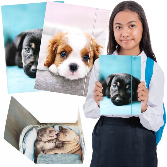 HOND Elastomap Gelamineerde schoolmap met elastiek A4 STARPAK