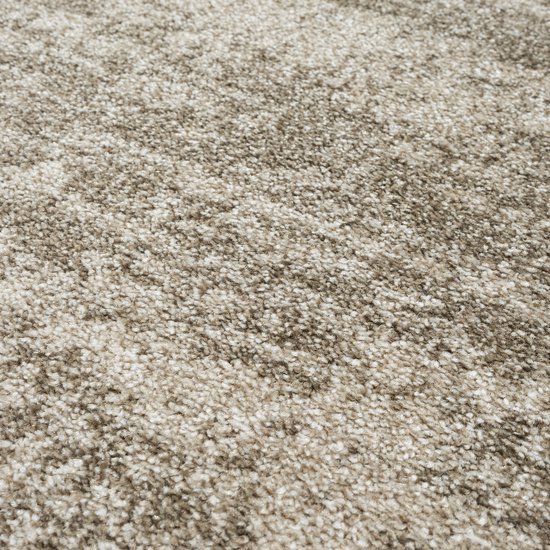 Un tapis beige à poils courts avec un motif subtilement chiné de tons beige clairs et foncés.