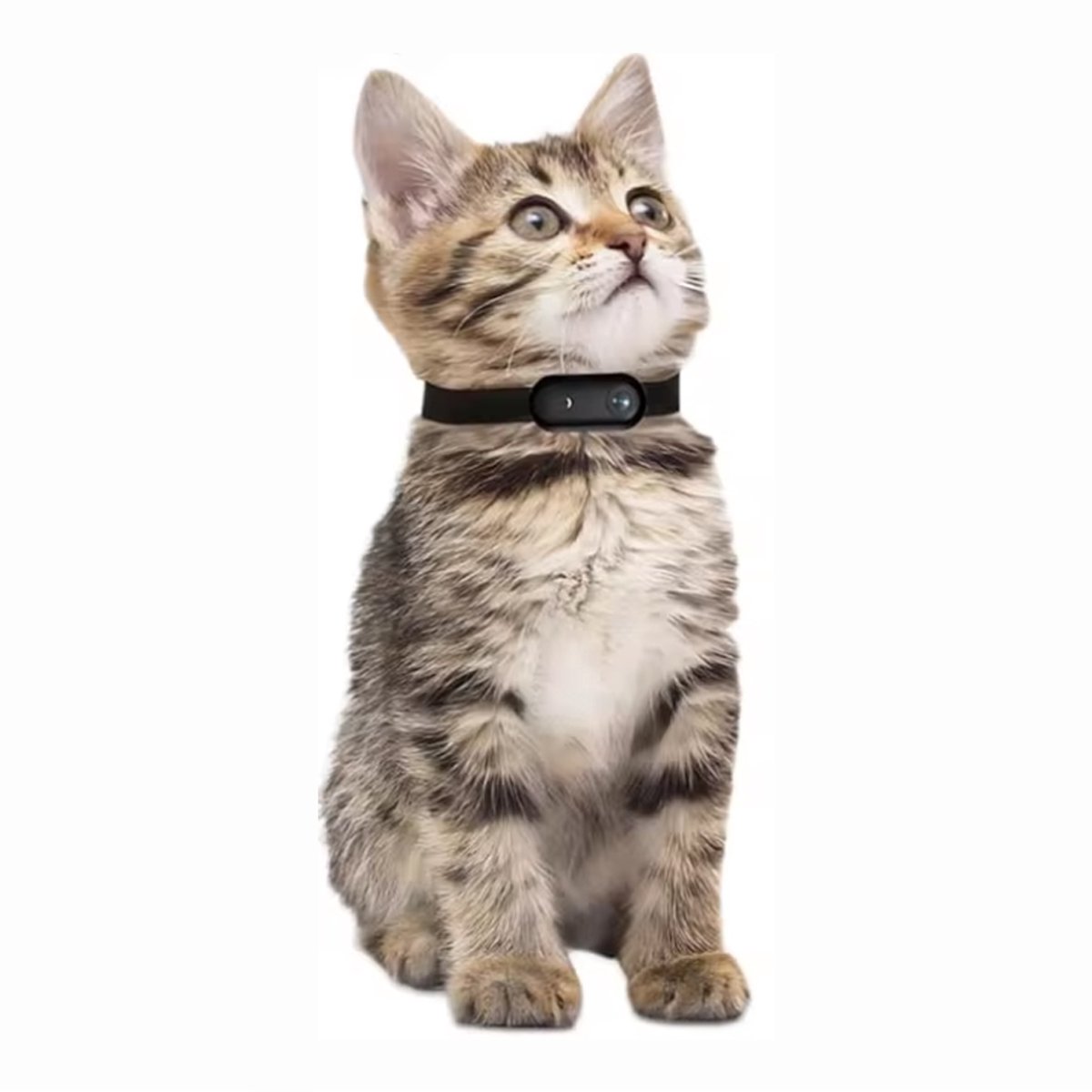 Multifunctionele Huisdier Camera - 32GB - Fiets - Sport - Kat - Hond - Poes