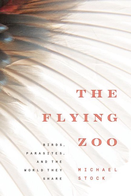 The Flying Zoo - cover