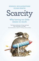 Boek 'Scarcity' met op de kaft een konijn op een schildpad, met een raket op zijn rug.