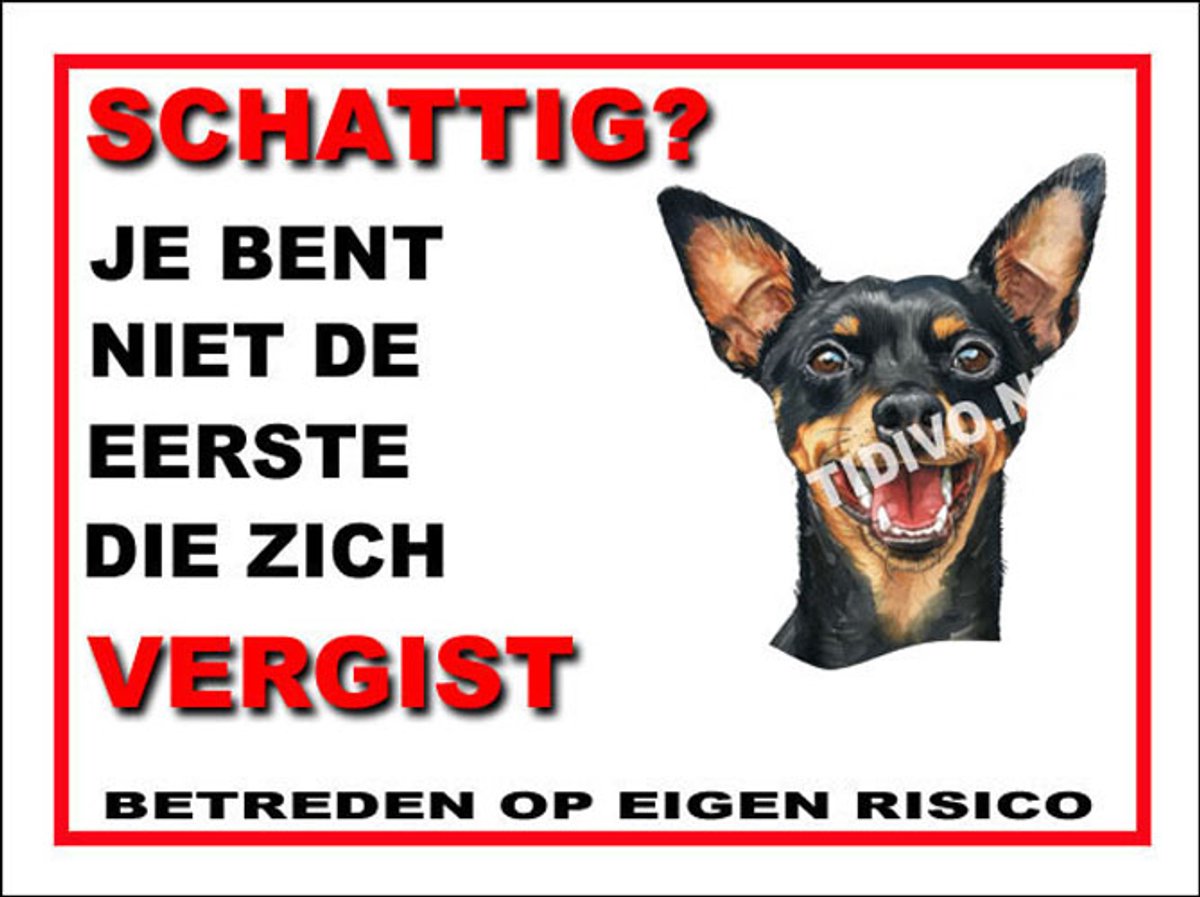 Pinscher Miniatuur 14