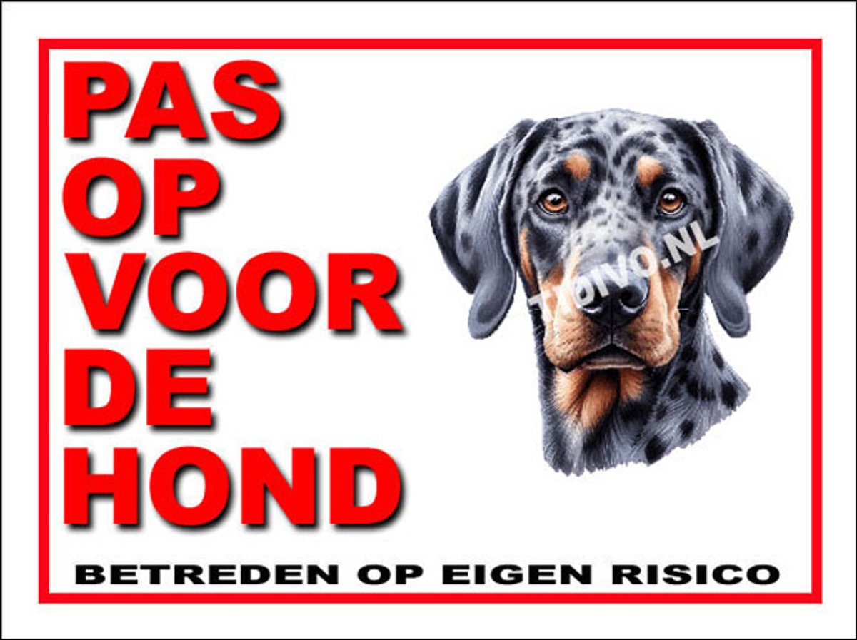 Plott 13