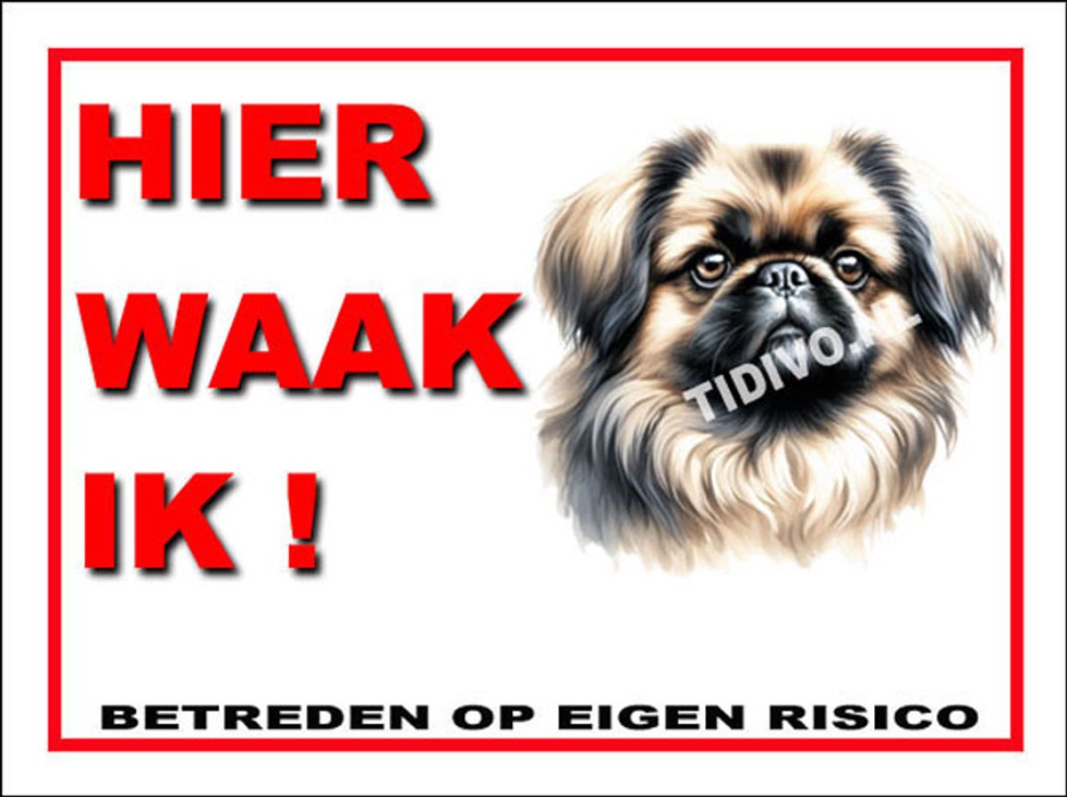 Pekingees 3