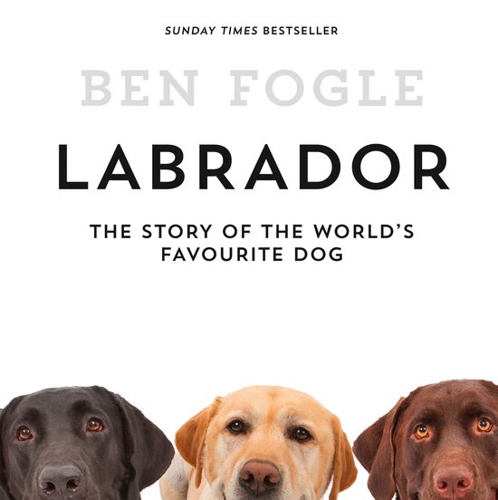 Labrador - cover