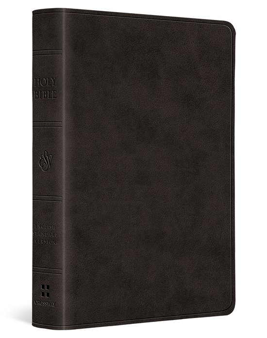 ESV Value Large Print Compact Bible, Red Letter