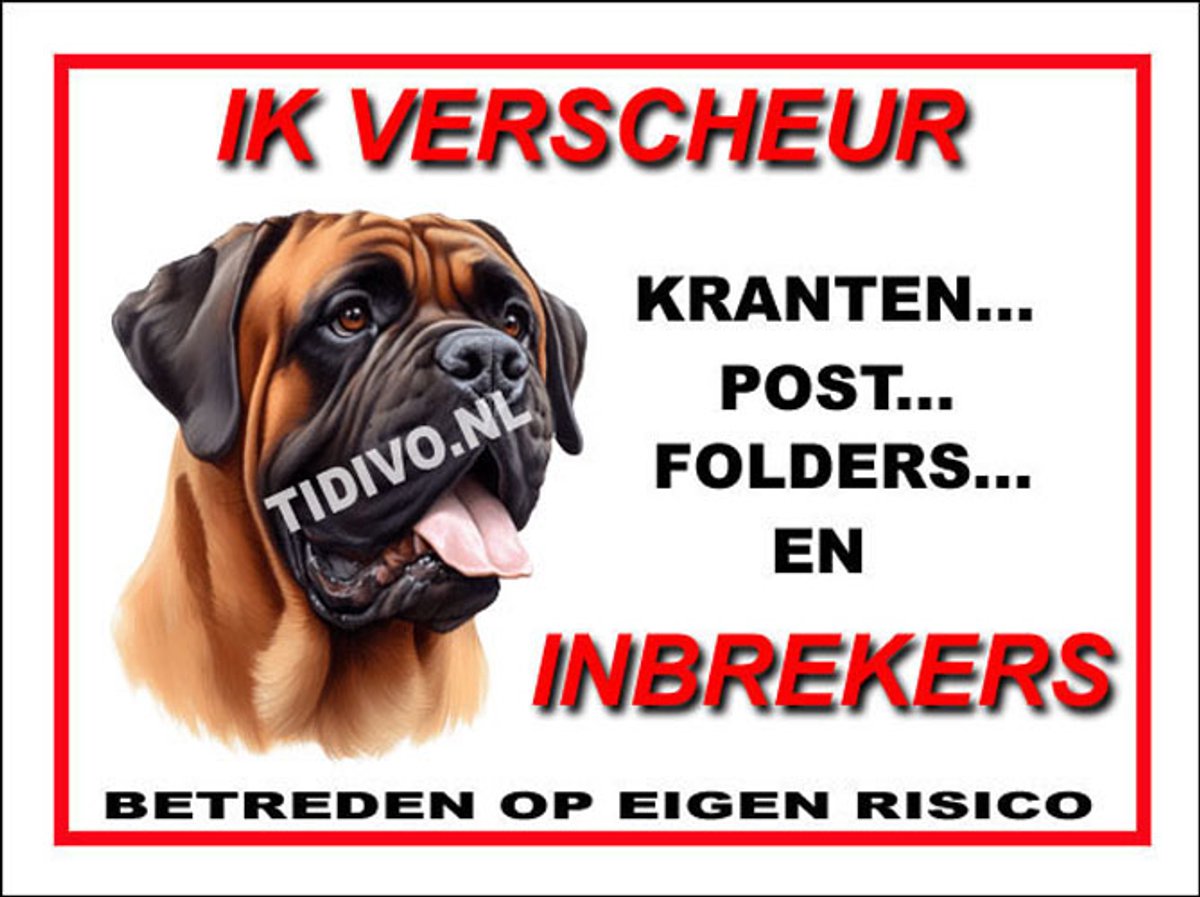 Bullmastiff 8