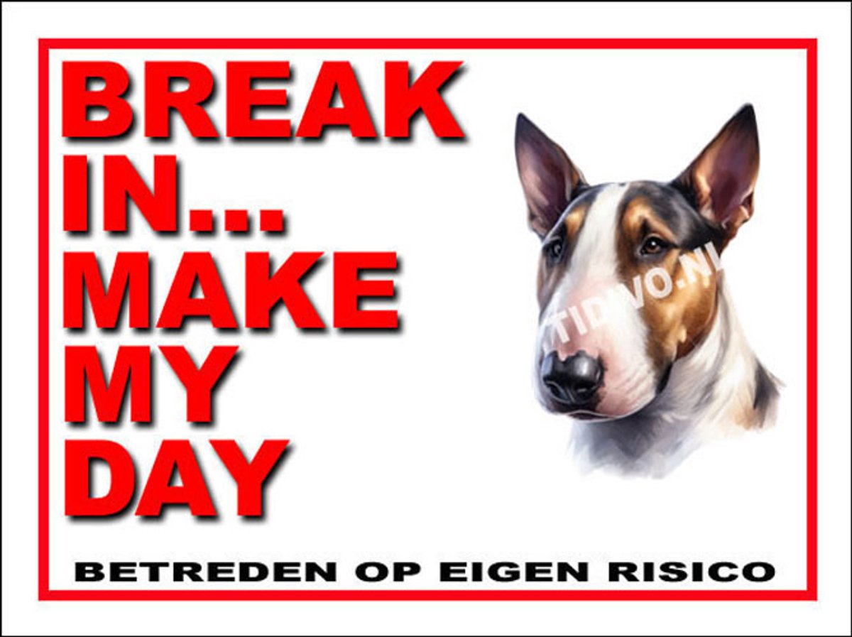 Bull Terrier 1