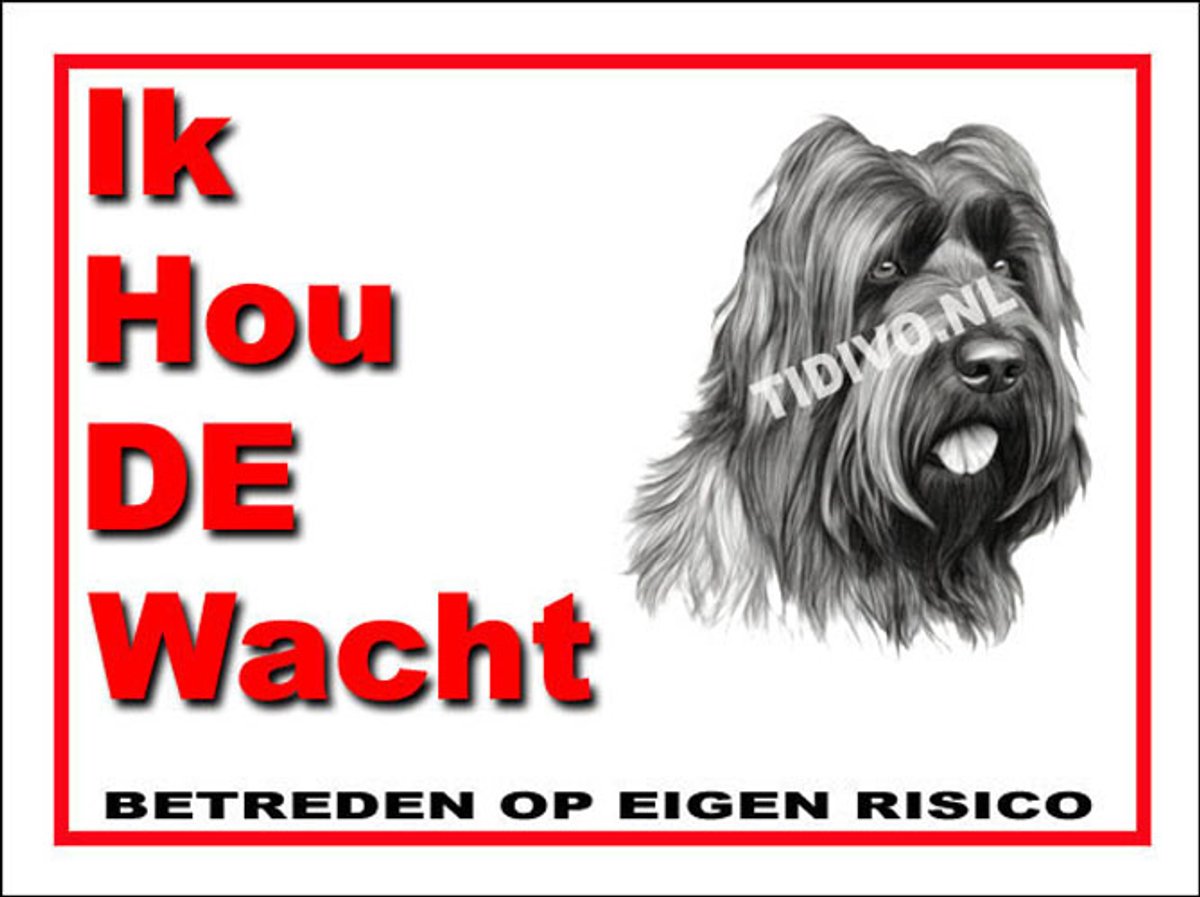 Briard 7