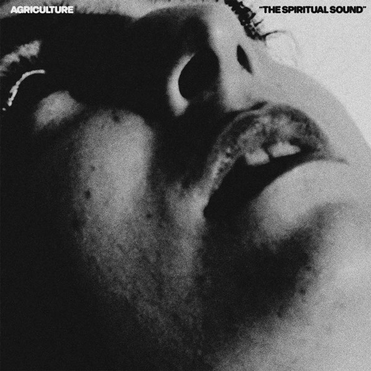 Agriculture - The Spiritual Sound (LP) (Coloured Vinyl)