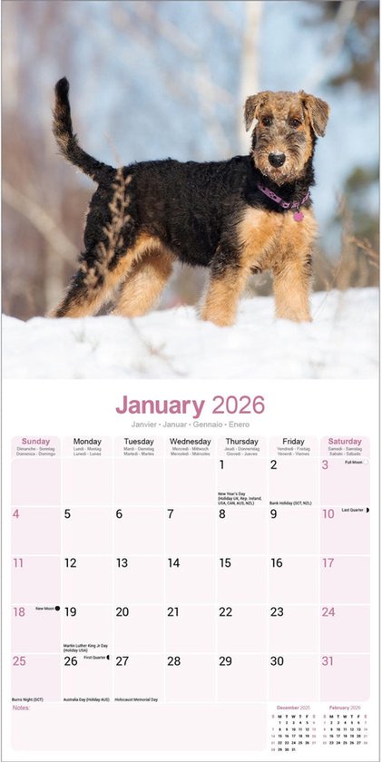 Calendrier Airedale Terrier 2026