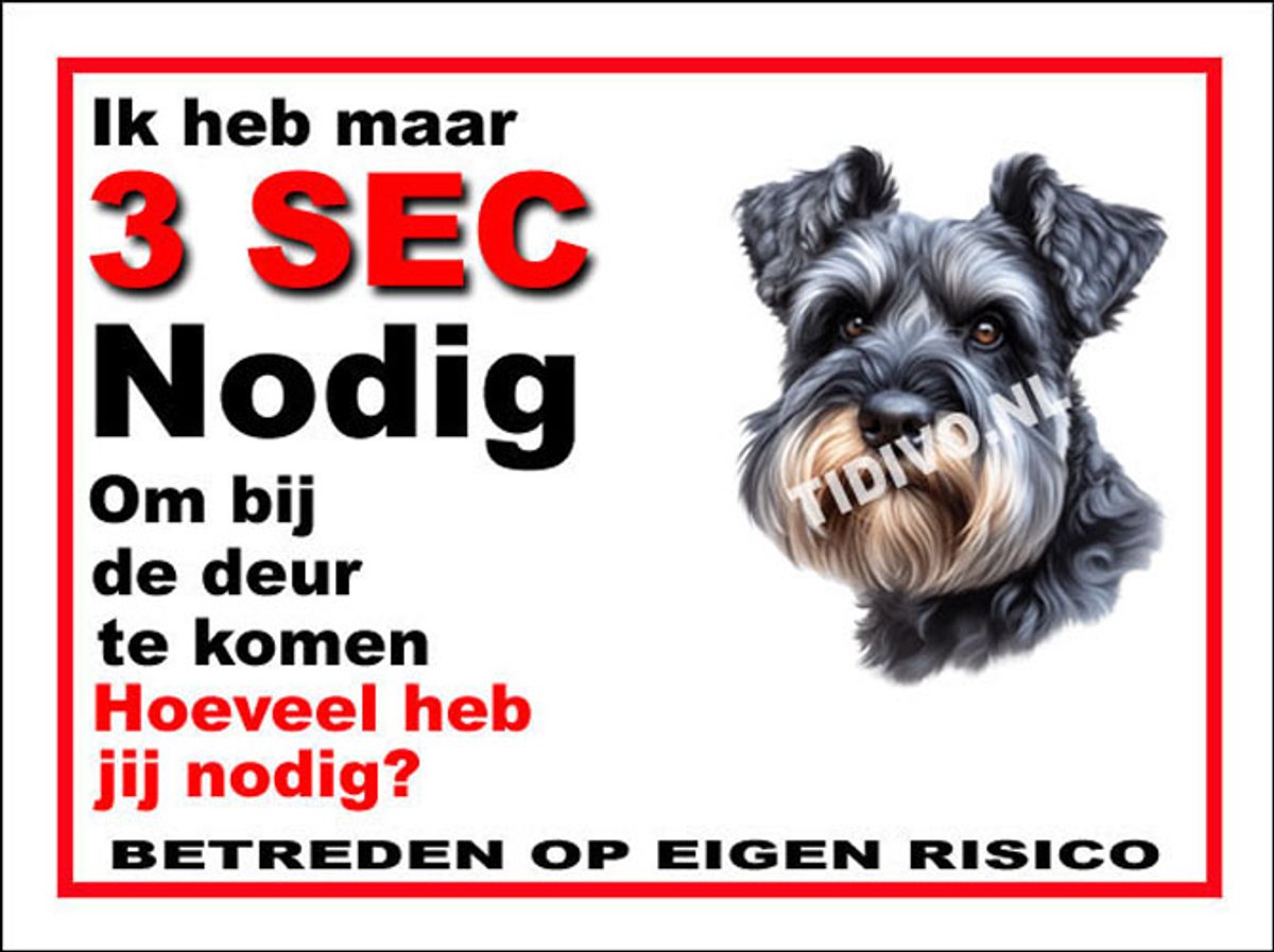Cesky Terrier 6