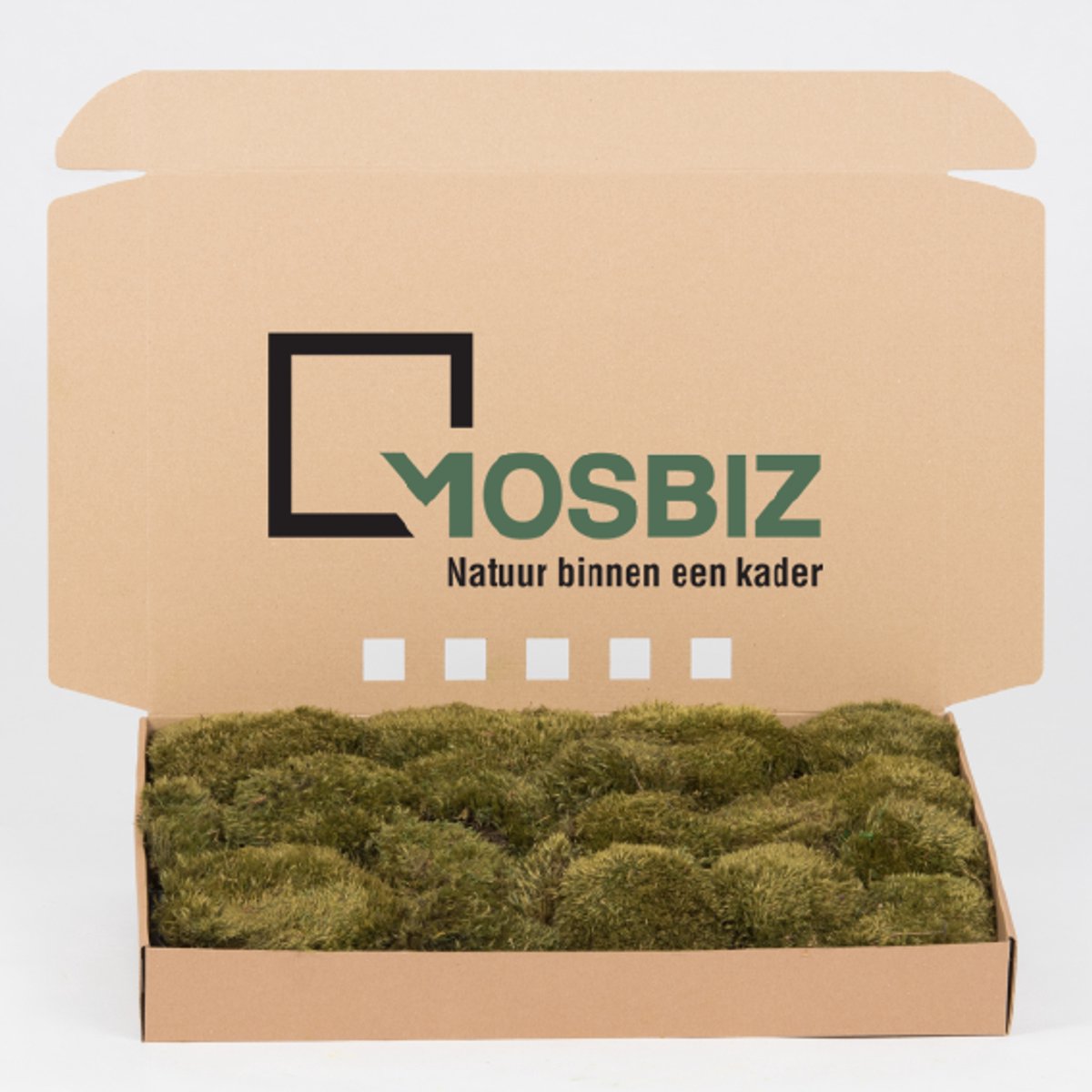 Hairy Mos | Medium Green | Moodmos | 0,2m2 | Decoraties| Schilderijen| Mos wanden| 900 gram