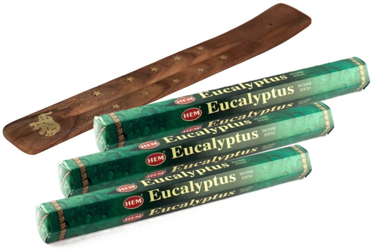 HEM Wierook stokjes in Eucalyptus geur - pak van 60x stokjes - 25 cm - met houder/plankje - huisgeuren Mahonie bruin
