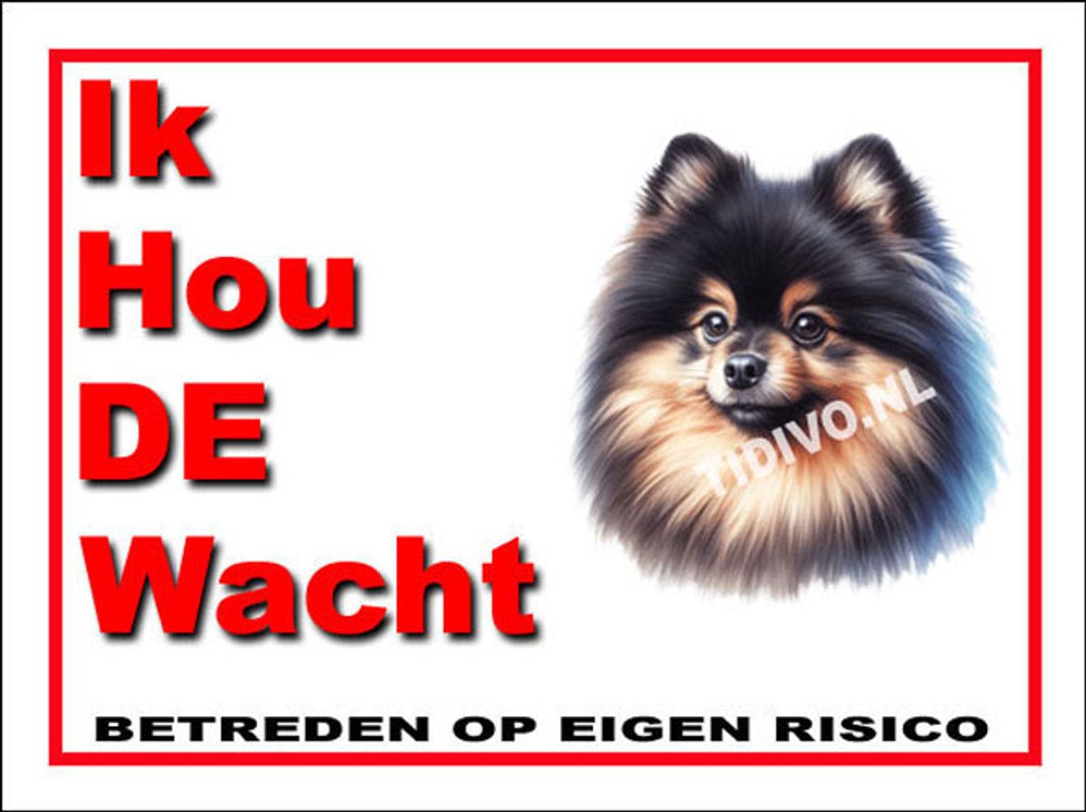 Dwergkeeshond 7