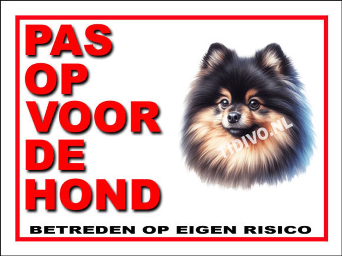 Dwergkeeshond 13