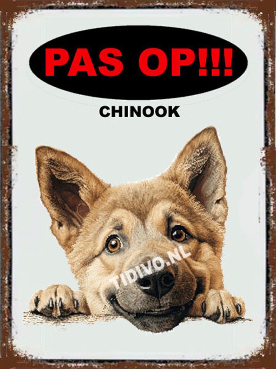 Chinook 17