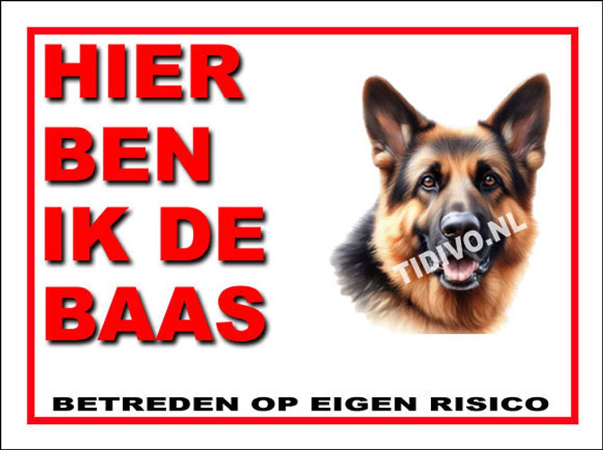 Duitse Herdershond 2