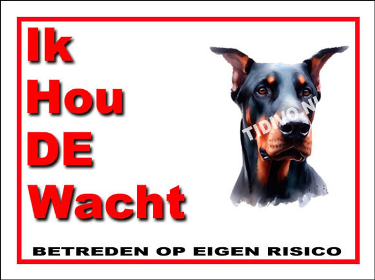 Duitse Dog 7