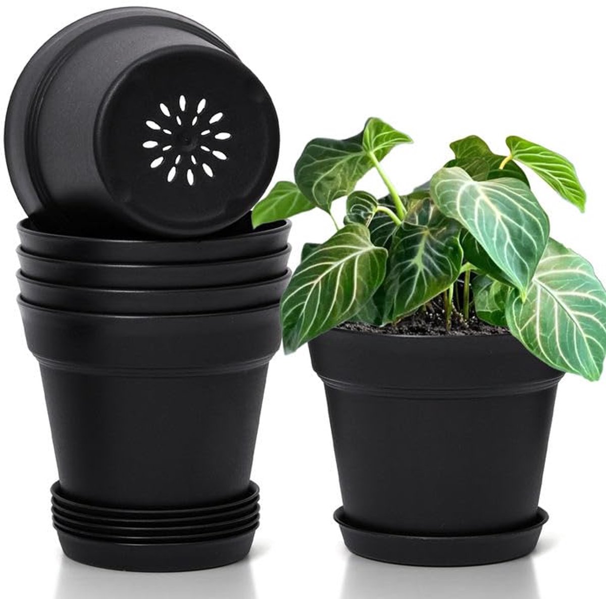Ibenzoa® Set van 6 Kunststof Bloempotten met Onderzetters, 16cm - Voor Cactussen, Vetplanten & Kruiden