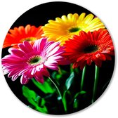 Kleurrijke bloemen met groene accenten - Bloemen rond schilderij - Wandbord natuur - Realisme kunststroming - Muurcirkels van Forex - Wandprints slaapkamer - Muurcirkel forex 90x90 cm