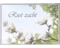 Rouwkaarten - 100 stuks - 14,5 x 10,5 cm - Rust Zacht - Rouwboeket kaart - Gevouwen - Rouw-1