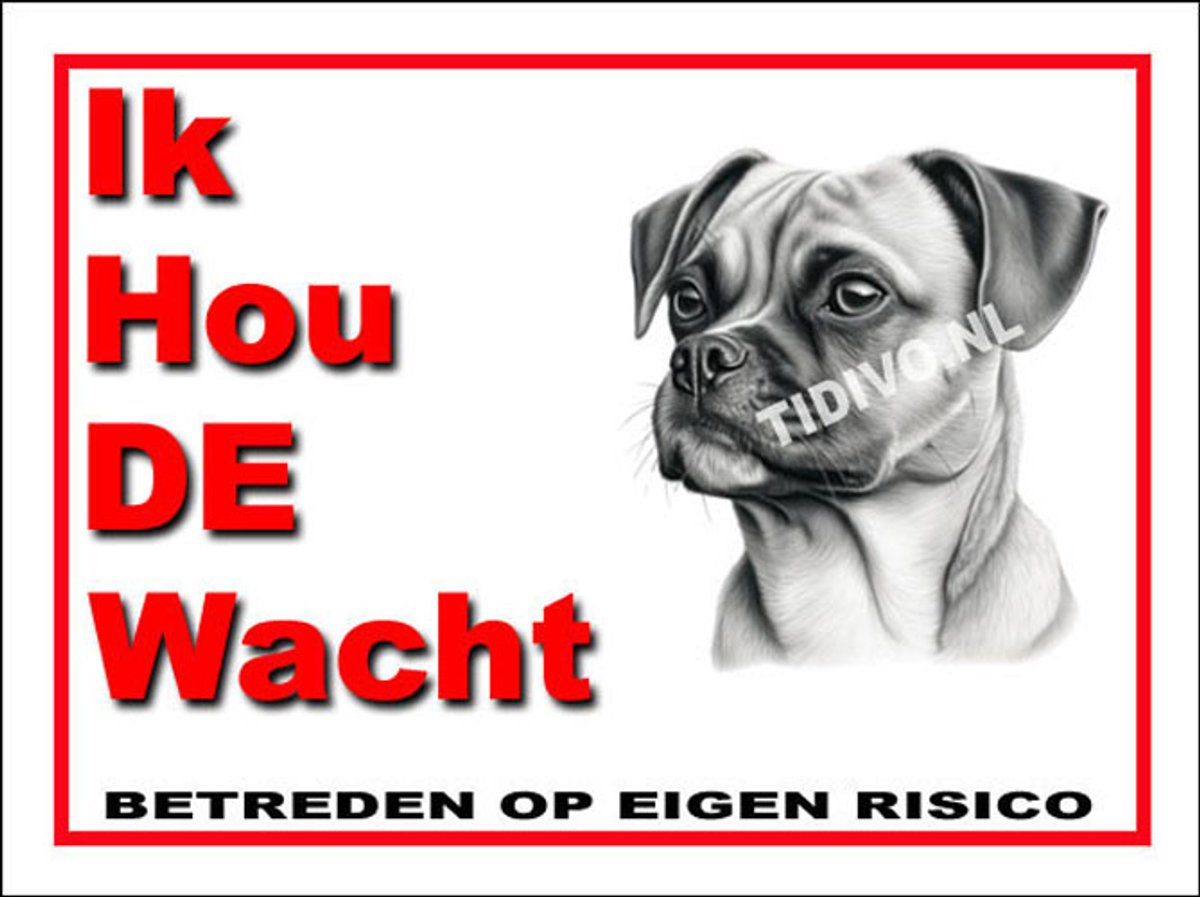 Puggle 7