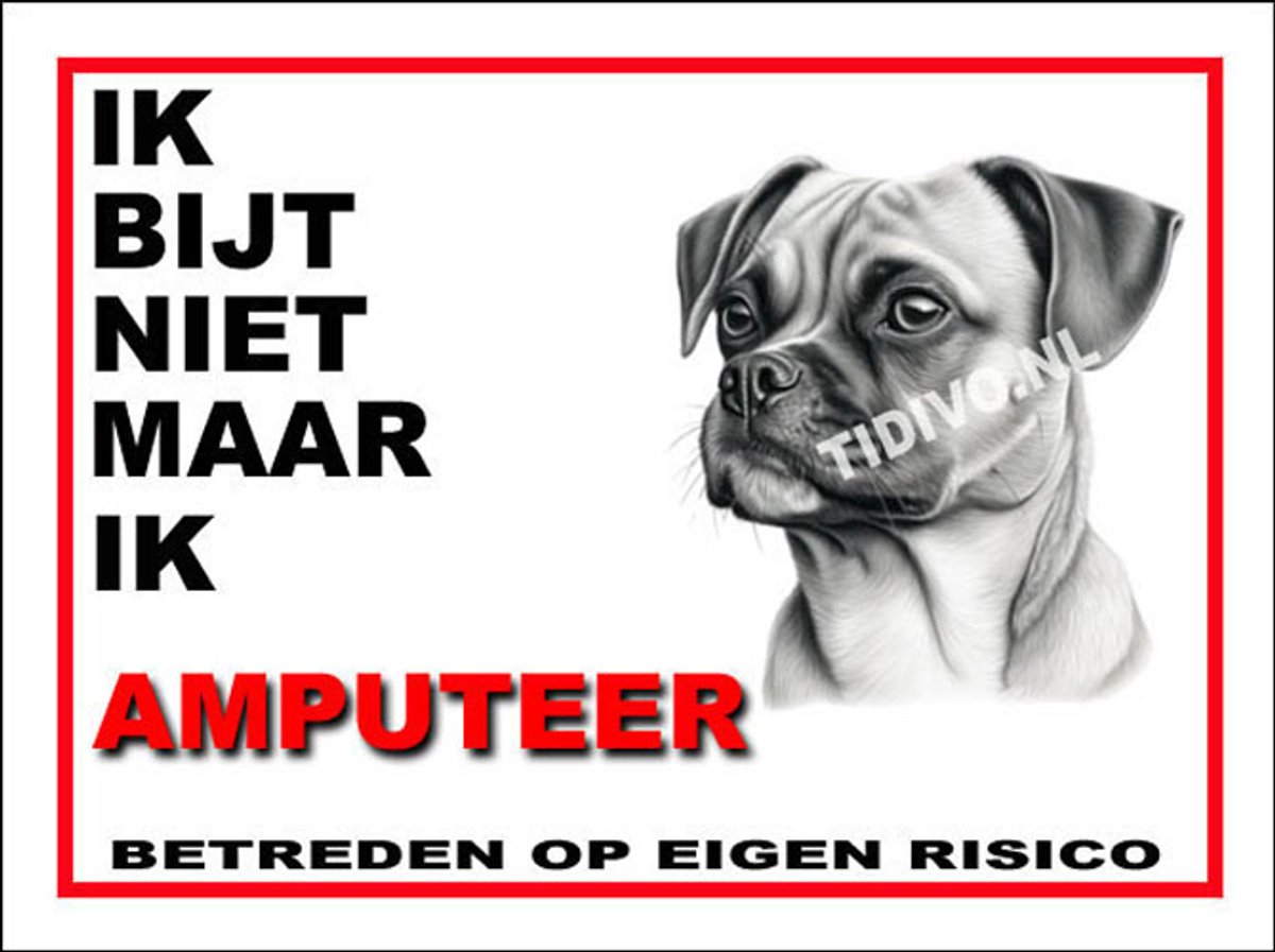 Puggle 5