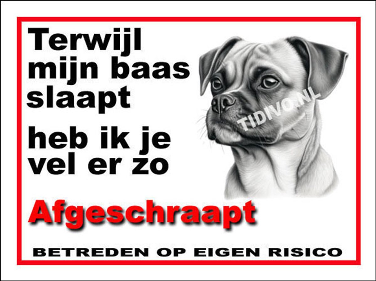 Puggle 15