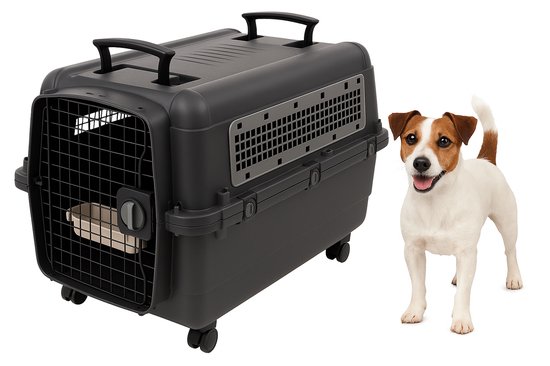 Donkergrijze reiskennel met zwarte handvatten en een Jack Russell terrier ernaast.