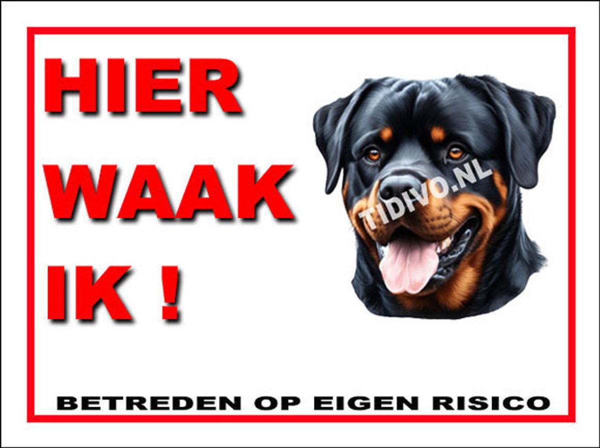 Rottweiler 3