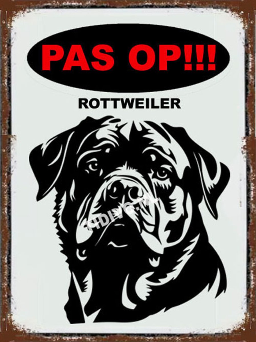 Rottweiler 17