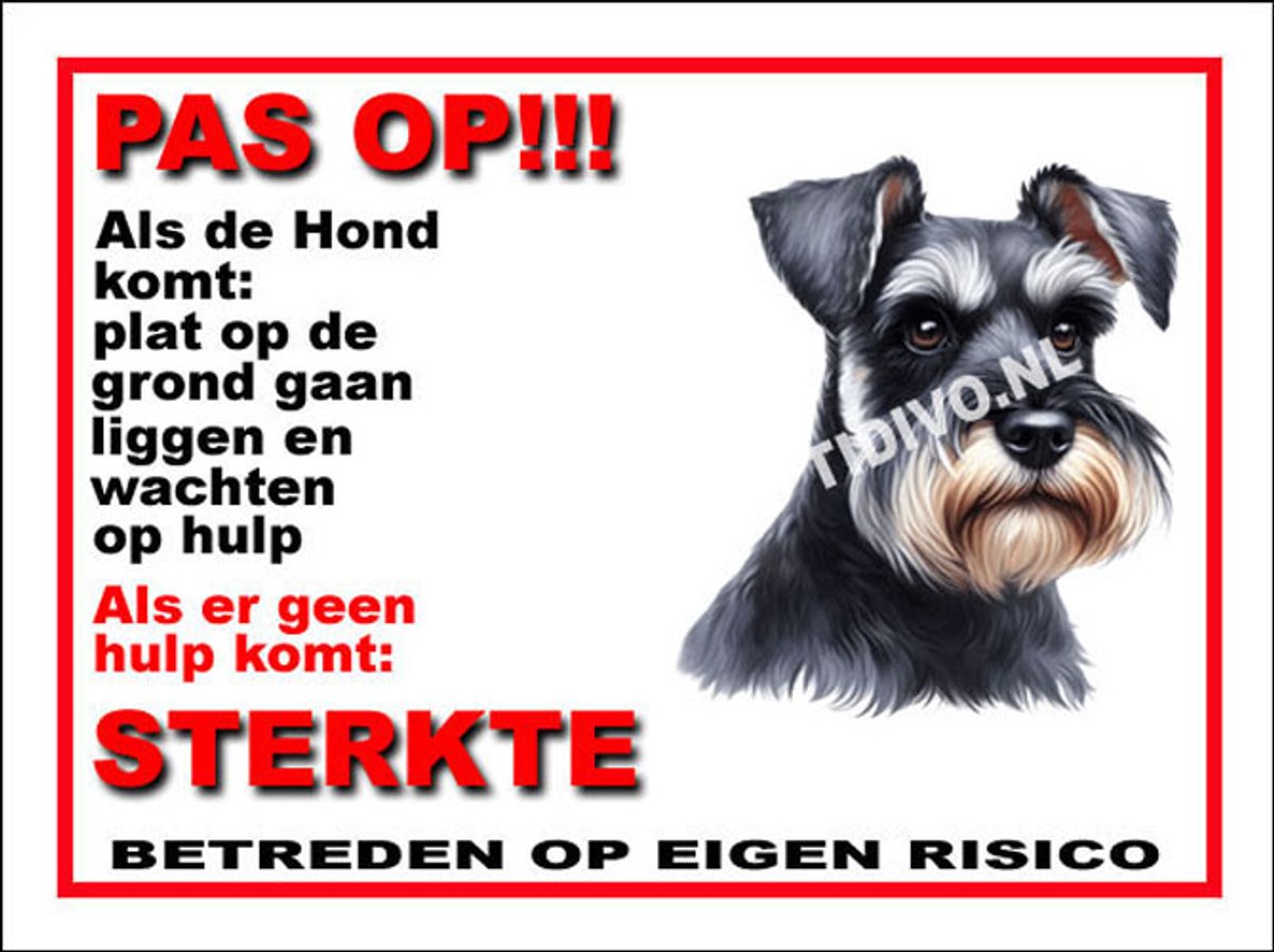 Schnauzer 12