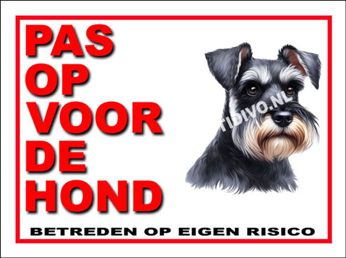 Schnauzer 13