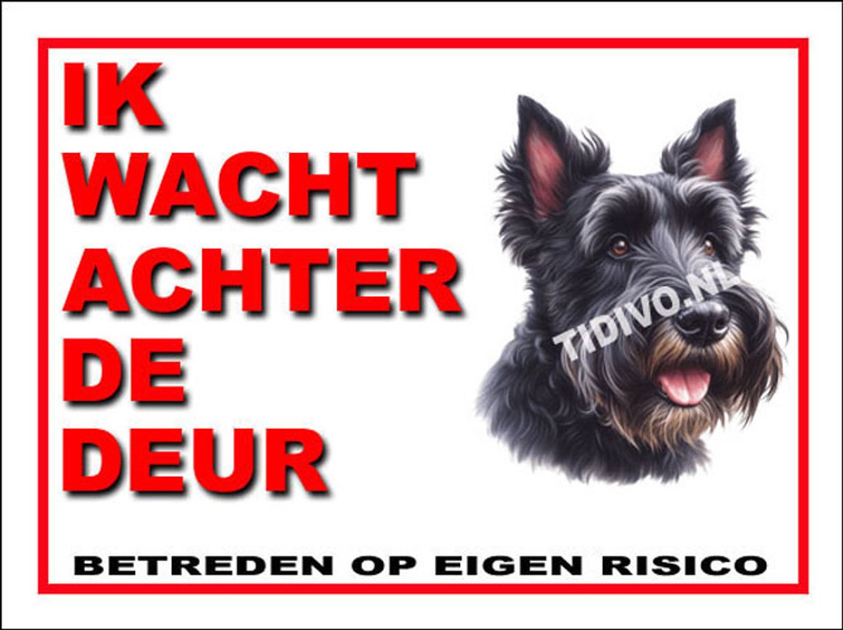 Schotsche Terrier 10