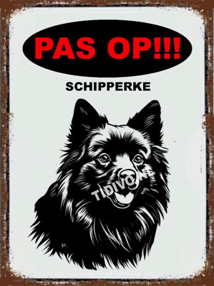 Srpski Gonic 2