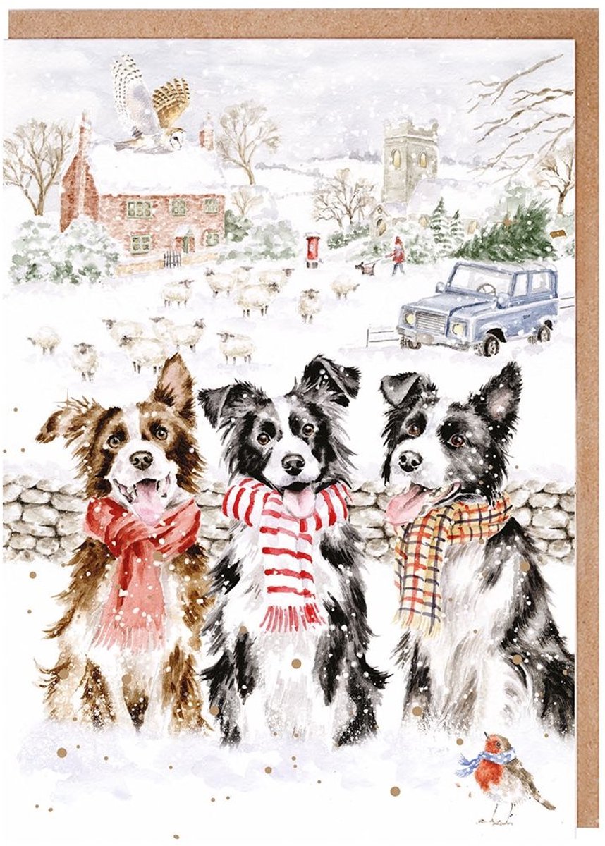 Wrendale Kerstkaarten Notepack - 8 stuks - 'While Shepherds Watched' Dog Christmas Card Pack - Kerstkaart Honden