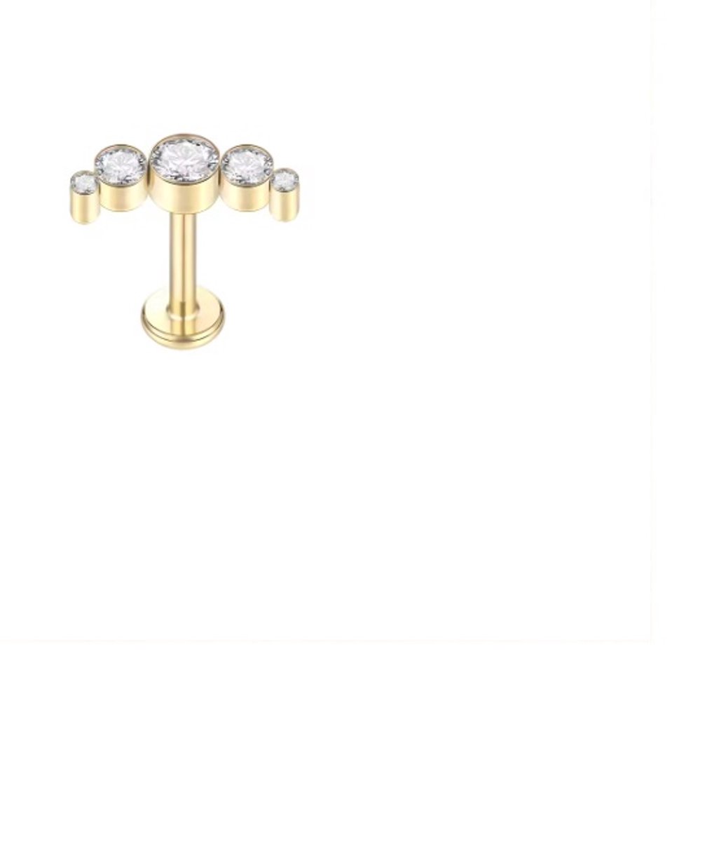 Piercing voor Oor - Kleur: Goud - Formaat: 12 x 6 MM - Titanium - Tragus / Kraakbeen / Helix / Conch - Oorpiercing - Piercing Sieraad - Hoge Kwaliteit - Labret Piercing - Luxe Sieraad - Oorbellen