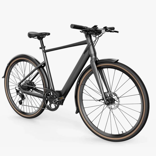 Fiido C21 - Elektrische Fiets - Grijs - L — afbeelding 3